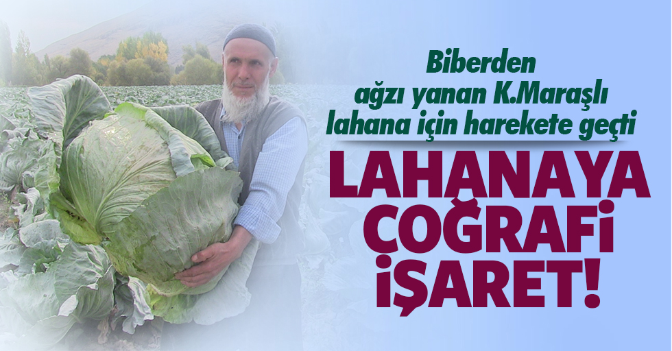 Biberden ağzı yanan Kahramanmaraşlı lahana için harekete geçti!