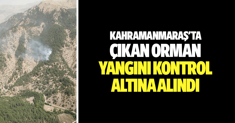 Kahramanmaraş'ta Çıkan Orman Yangını Kontrol Altına Alındı