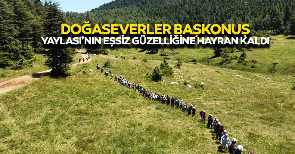 Doğaseverler Başkonuş Yaylası’nın Eşsiz Güzelliğine Hayran Kaldı