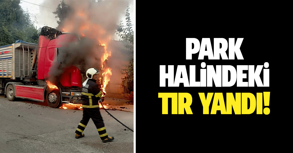 Park Halindeki Tır yandı!