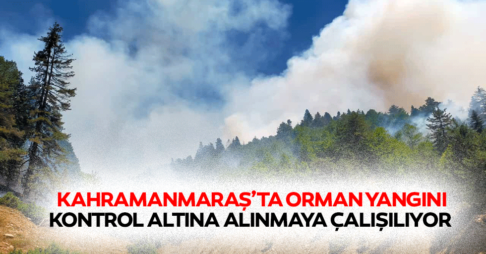 Kahramanmaraş’ta orman yangını kontrol altına alınmaya çalışılıyor