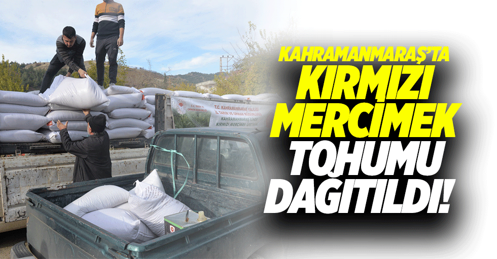 Kahramanmaraş’ta kırmızı mercimek tohumu dağıtıldı!