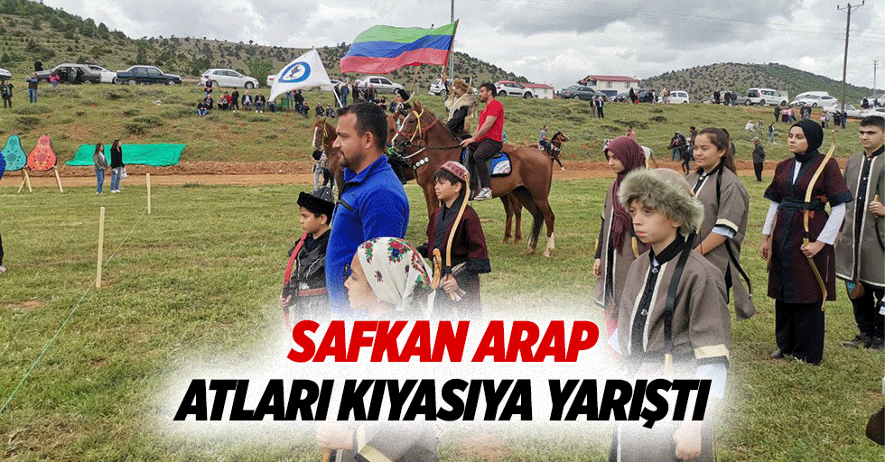 Safkan Arap atları kıyasıya yarıştı