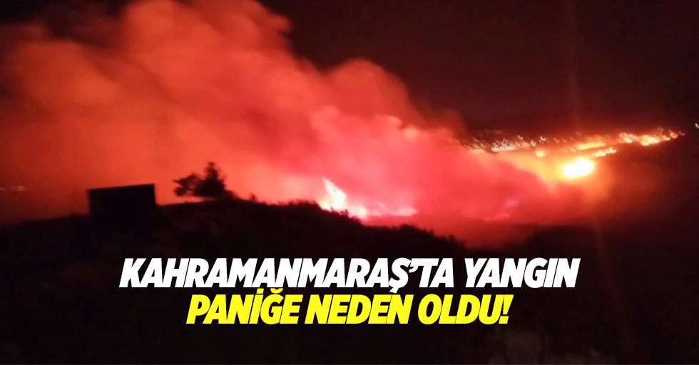 Kahramanmaraş’ta yangın paniğe neden oldu!