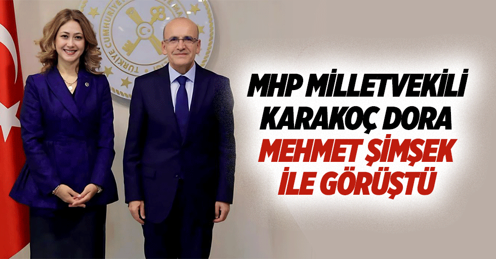 MHP Milletvekili Karakoç Dora, Mehmet Şimşek İle Görüştü