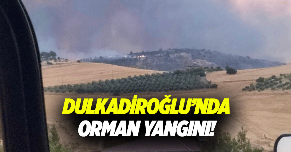Dulkadiroğlu’nda Orman yangını!
