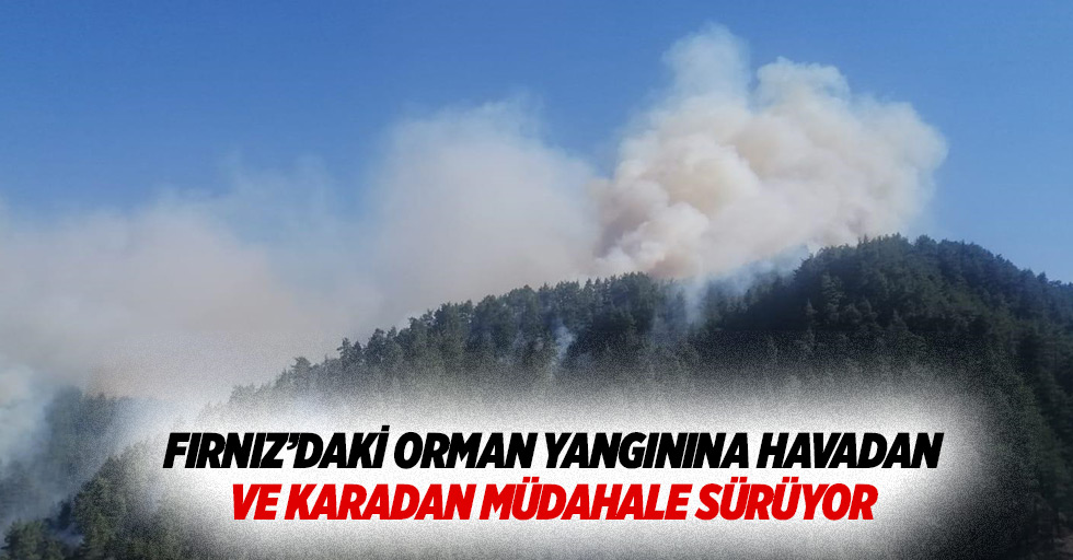 Fırnız’daki orman yangınına havadan ve karadan müdahale sürüyor