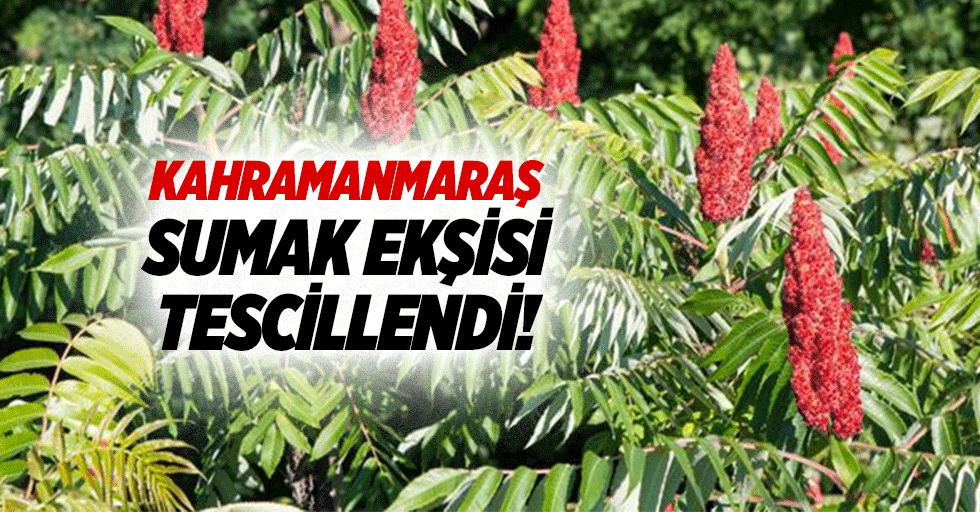 Kahramanmaraş sumak ekşisi tescillendi!