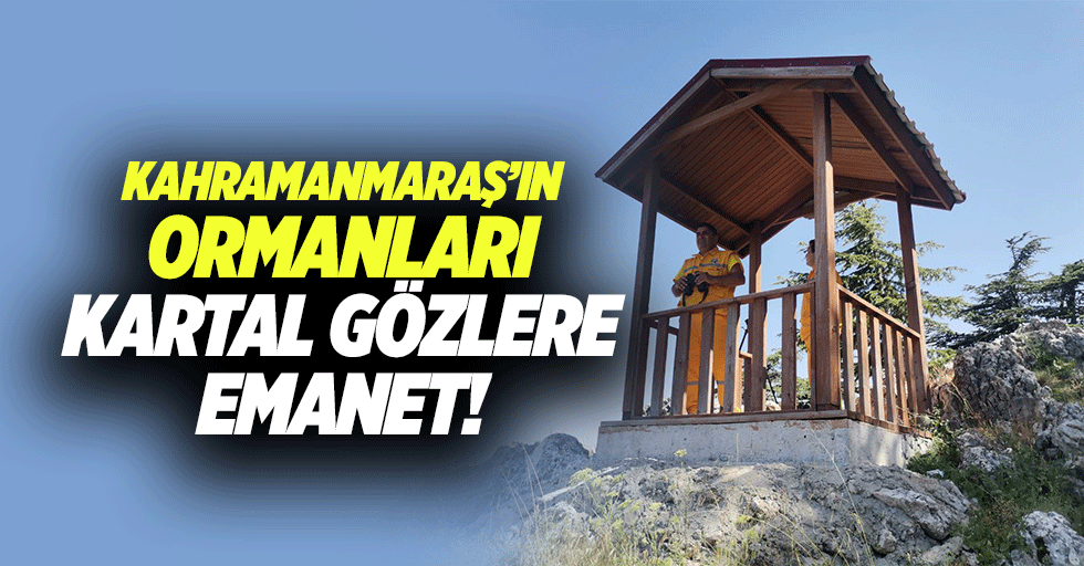 Kahramanmaraş’ın ormanları kartal gözlere emanet!