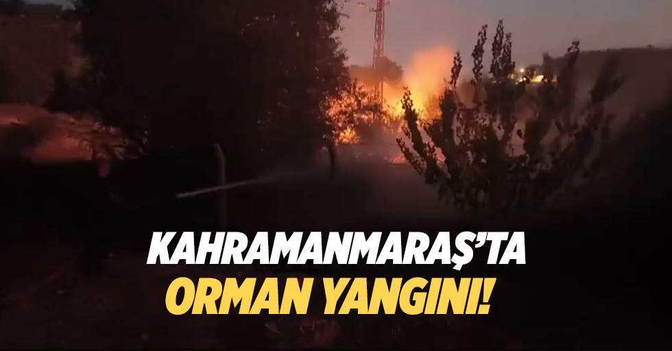 Kahramanmaraş’ta orman yangını!