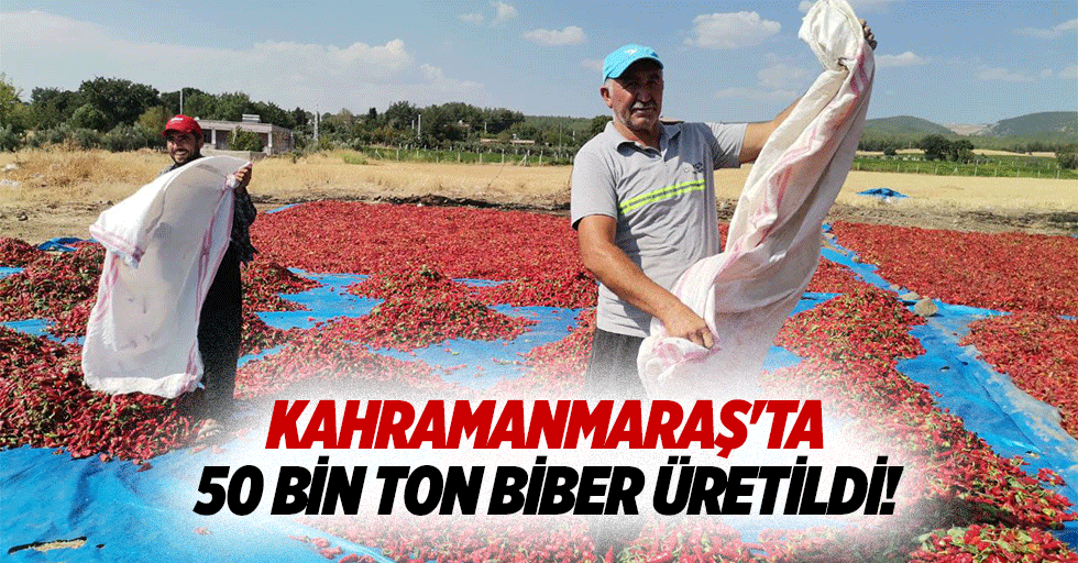 Kahramanmaraş'ta 50 bin ton biber üretildi!