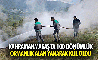 Kahramanmaraş'ta 100 dönümlük ormanlık alan yanarak kül oldu