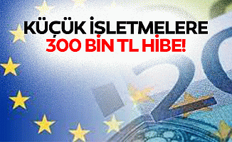 Küçük işletmelere 300 bin tl hibe!