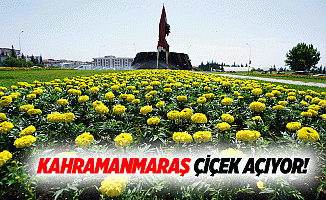 Kahramanmaraş çiçek açıyor