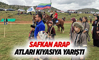 Safkan Arap atları kıyasıya yarıştı