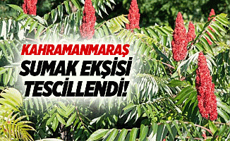 Kahramanmaraş sumak ekşisi tescillendi!