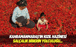 Kahramanmaraş'ın kızıl hazinesi: Salçalık biberin yolculuğu...