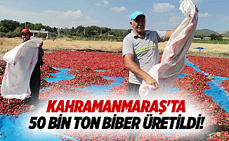 Kahramanmaraş'ta 50 bin ton biber üretildi!