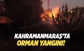 Kahramanmaraş’ta orman yangını!